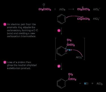 Mechanism of the Friedel-Crafts alkylation reaction The electrophile is a carbocation, generated by AlCl 3 -assisted dissociation of an alkyl halide Friedel-Crafts alkylation has several limitations