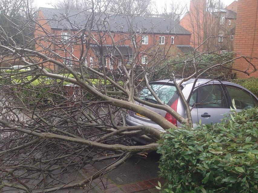 Impacts 3 deaths (in Shropshire, Wolverhampton, Swindon), and many injuries due to fallen trees, masonry, and traffic accidents Severe disruption to road, rail, sea and air travel