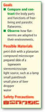 Possible Materials petri dish with a planarian compound microscope prepared slide of a tapeworm