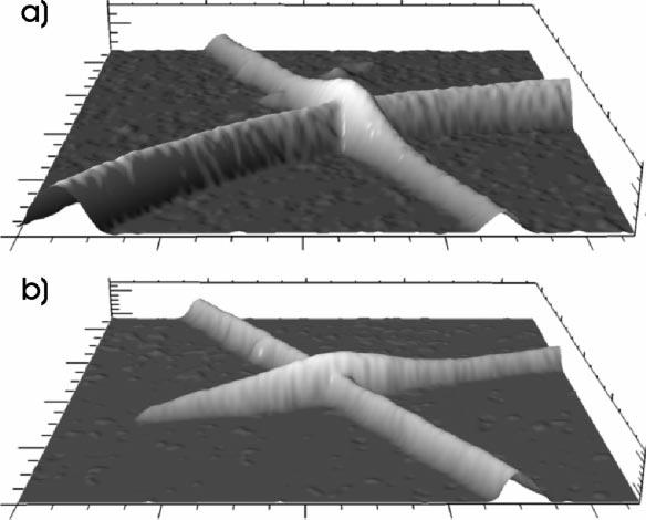 ( ) Ph. AÕouris et al.rapplied Surface Science 141 1999 201 209 203 Fig. 2. Atomic force microscope Ž AFM. non-contact mode images of two overlapping multi-wall nanotubes.