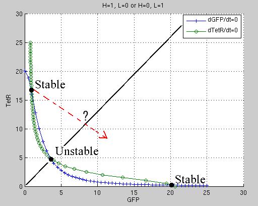 ODE: Nullcline Analysis Stochastic Analysis: State Change from Low to High Chris J. Myers (Lecture 17: Genetic Design) ECE/CS/BioEn 6760: Modeling Bio Networks 43 / 48 Chris J.