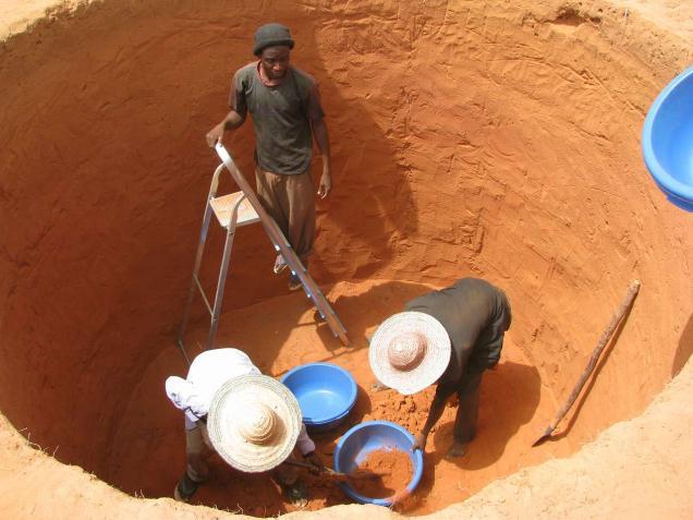 29 C Soil Quartzipsamments Sand:95% Silt:2% Cray:3% Total C:.3% Total N:.