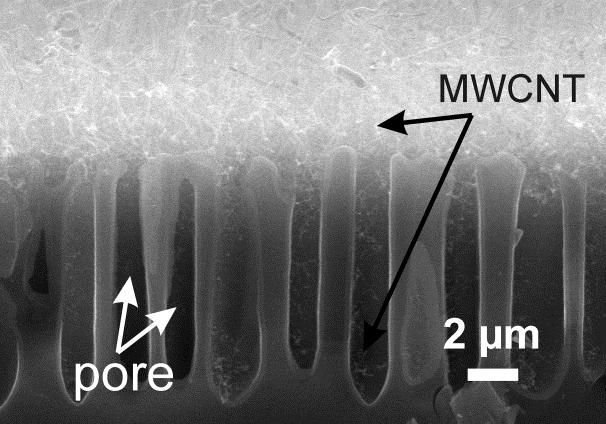 The SEM images showed that MWCNTs in the hybrid material occurs predominantly on the outer surface of the porous layer, with the bases between the pores (Fig. 3).