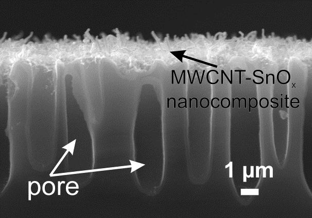 The hybrid material showed the linear volt-ampere characteristics and conductivity 25 times higher as compared to the nanocomposite structures.