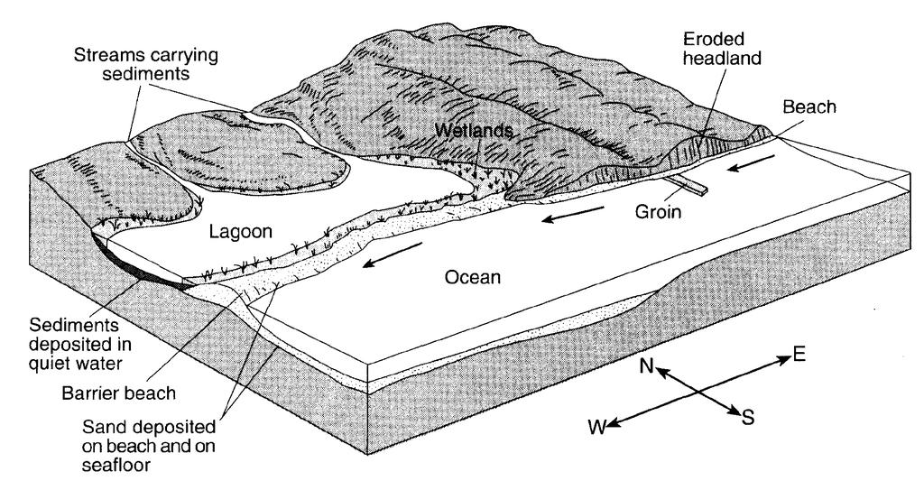 60. Base your answer to the following question on the diagram below. The arrows show the direction in which sediment is being transported along the shoreline.
