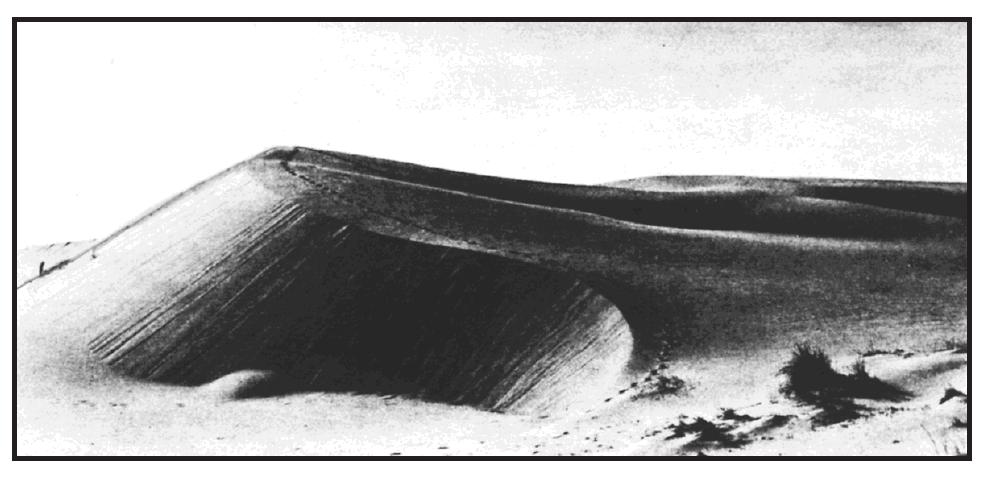 104. The photograph below shows a sand dune that formed in a coastal area.