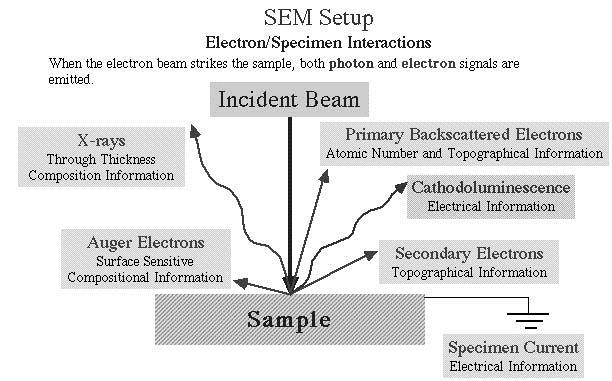 WHAT TYPE SIGNALS ARE CREATED IN A SEM?
