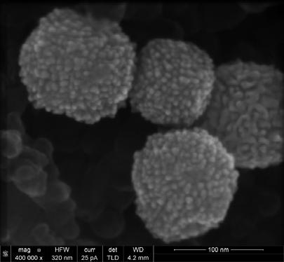 RESEARCH QUESTIONS Cast Iron EDS+SE Fe Cr C Pt Nano Particles Sea Shell 50nm Cu Vias