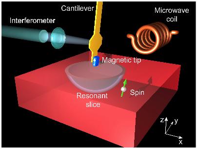 Magnetic Resonance Force Microscopy (MRFM) MRFM is an experimental