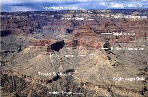 The Kaibab limestone at the top of the canyon is about 250 million years old. Cross-section of part of the Grand Canyon with rock ages 10 Several unconformities are present, including the 1.