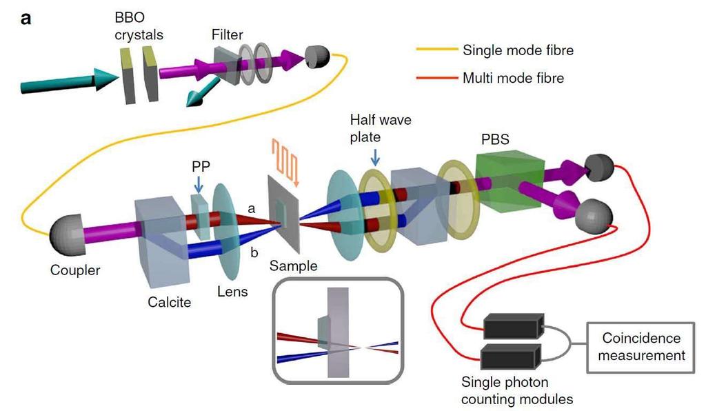 Entanglement-Enhanced Microscopes 17 a Coupler BBO crystals 11 PP Filter 4 Single Single mode fibre - Multi mode fibre PBS photon