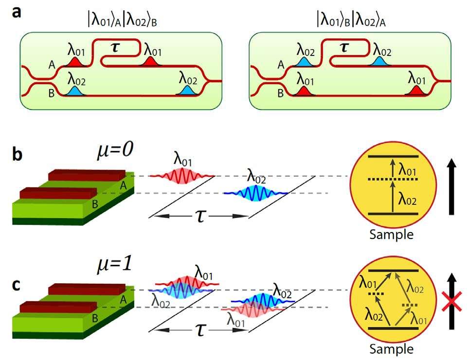 Dynamically Tunable Spectral Entanglement Photon pair enters a single input port. A A Input state characteristics Λ = 10nm, λ 00 = 1550nm, Δλ = 1nm, Δλ P =0.25nm B B η SN = Schmidt Number b 2.5 2.