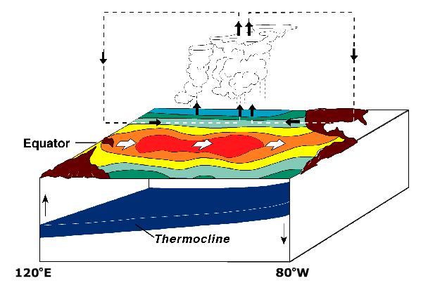 oscillations: El Niño/La Niña (ocean) and Southern Oscillation (atmosphere) ENSO