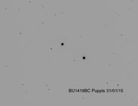 Page 315 Measurement of Nine Neglected Southern Multiple Stars Table 2. Measurements of BU 1419 BC. RA. 08 08.5 DEC. -19 52 Last Measure 1903 BU1419BC MAG. 7.55 & Puppis PA. 300.0 SEP. 7.8" 13.