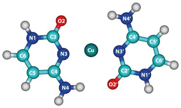 6. Interaction of Cu + with Cytosine and Formation of i-motif-like C-M + -C Complexes Low-energy tautomeric conformations of cytosine and its complexes with alkali metal ions were reported among