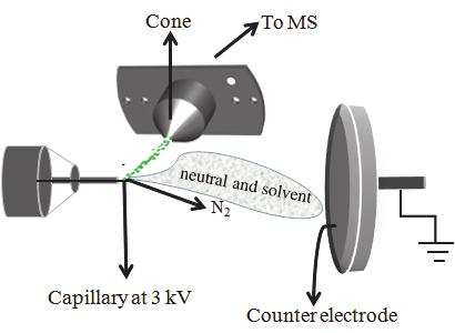 2. Experimental Methods Figure 2.2: Z-spray source. The ion source is configured such that neutral and solvent are directed away from MS inlet (cone) while ions enter.
