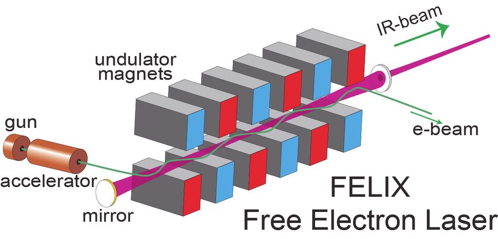 2 Infrared lasers Various free electron laser (FEL) beam lines have been