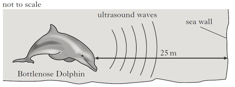 12. Bottlenose dolphins produce sounds in the frequency range 200 Hz 150 khz. Echolocation is the location of objects by using reflected sound. Bottlenose dolphins use ultrasounds for echolocation.