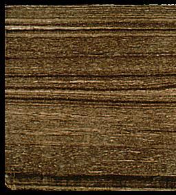 Source Rock for Petrole eum Organic Rich Thin Laminae 1 Inch Measured Values Total Organic Carbon 3.