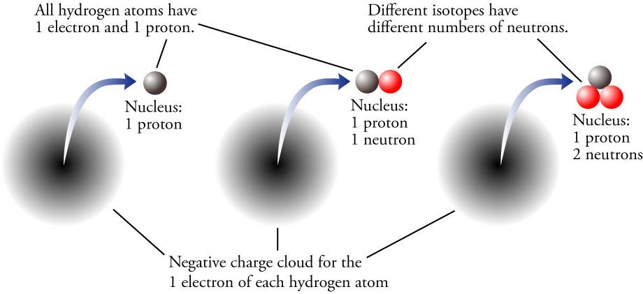 Neutrons and Isotopes The number of neutrons in an atom cannot be easily predicted or found on the periodic table. Atoms of the same element (i.e. have the same number of protons) can have different numbers of neutrons.