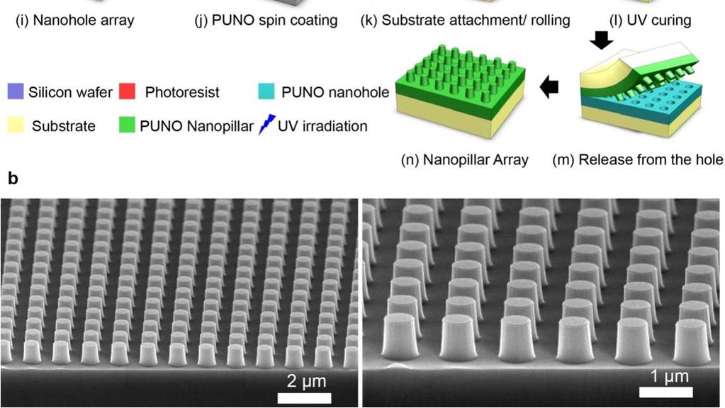 for the polymeric nanopillar array