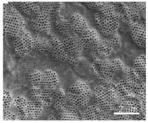 14: SEM of membranes prepared with 334 nm silica particles as templates: (A) before the removal of the silica particles; (B) after the removal of the silica particles; (C) SEM image (A); and (D) SEM
