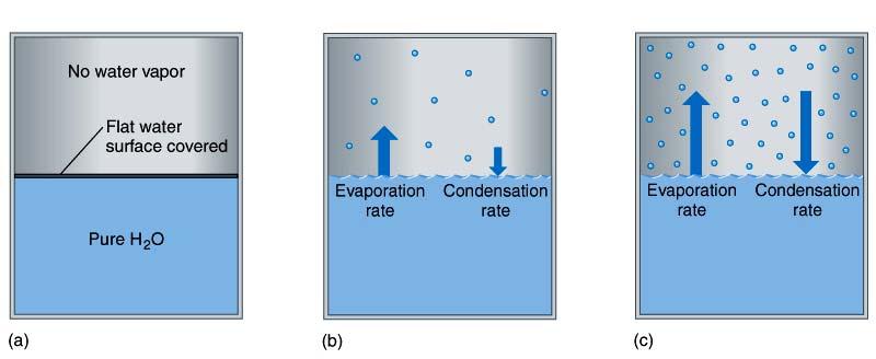 Evaporation and Condensation Evaporation Change in phase from liquid to vapor. The process in which molecules break free of the liquid volume.