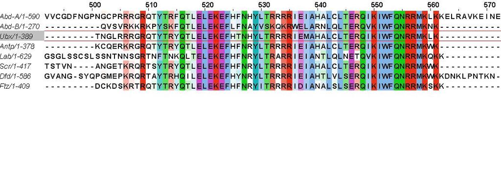 Polyclonal Antibodies generated against N-terminal region of