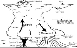 Storms Frequent tropical occurrence - main weather of the tropics. Updraft weakened by coincident downdraft - instability removed.