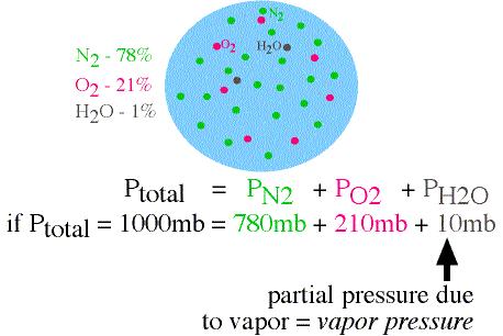 Vapor Pressure According to Dalton s Law, each gas in a parcel (volume) of air exerts a