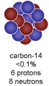 numbers of neutrons Example: C 12 and C 14 are both carbon