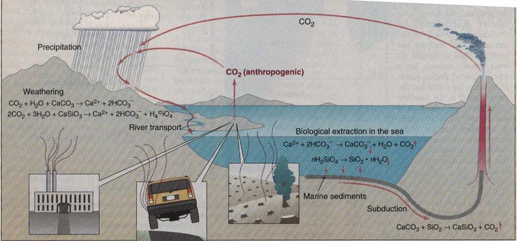 Chemical Weathering and the Geological Carbon Cycle 1. CO 2 is removed by weathering of silicate and carbonate rocks on land. 2. The weathering products are transported to the ocean by rivers where they are removed to the sediments.