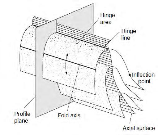 Anatomy of a folded surface Sec 10.2 The hinge area is the region of greatest curvature and separates the two limbs. The line of greatest curvature in a folded surface is called the hinge line.