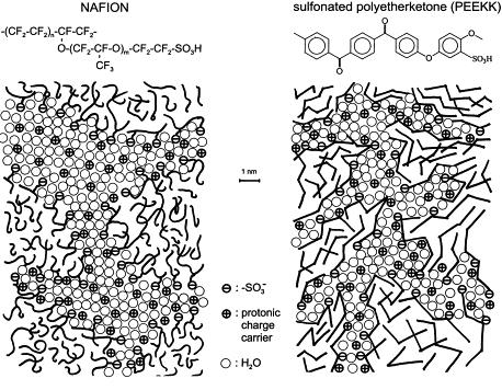 Morphology Difference of Nafion & HC PEMs Kreuer, K. D. J. Membr. Sci.