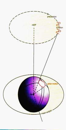 Velocity Vector EOP: Earth Orientation Parameter Precession/Nutation Polar