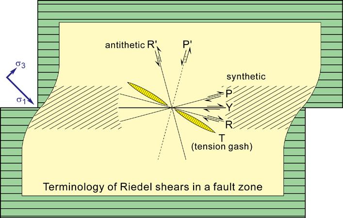 Tip line; branch line; cut-off line These geometrical features have the same definitions as for other fault types. Tip lines are isolated ends of fault segments.