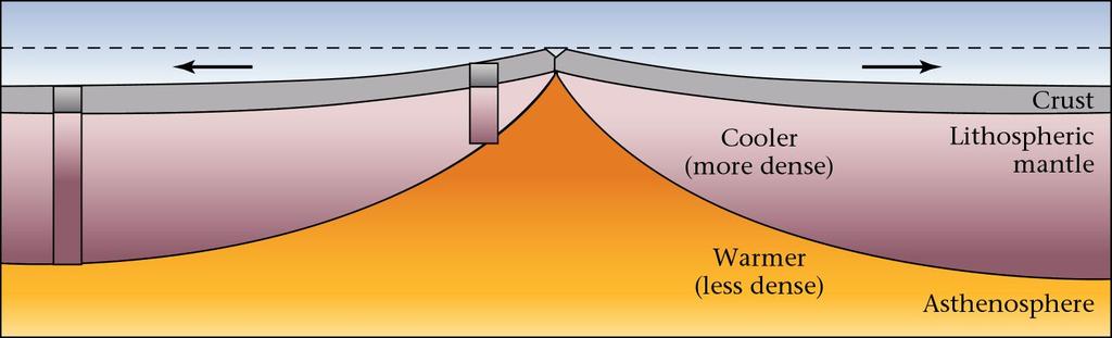 Why Are Mid-Ocean Ridges Elevated?