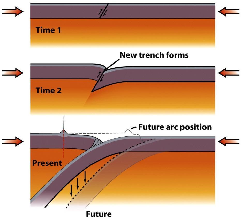 Convergent Plate Boundaries: Subduction When two plates collide (if one is oceanic), one