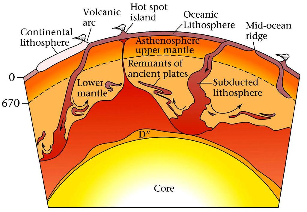 The current hypothesis about the fate of subducted plates suggests that they may sink all the way to the lower