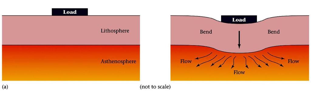 Elevations and Lithospheric Loading The weight of the lithosphere