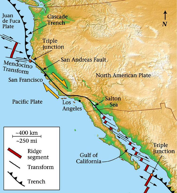 Continental Transform Plate Boundaries Some transform boundaries occur on the continents San Andreas Fault is a transform The San Andreas Transform moves with a right-lateral