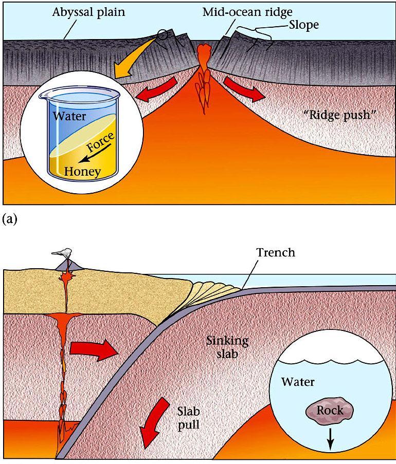 Ridge-Push and Slab-Pull forces Divergent boundaries are driven by a ridge-push force.