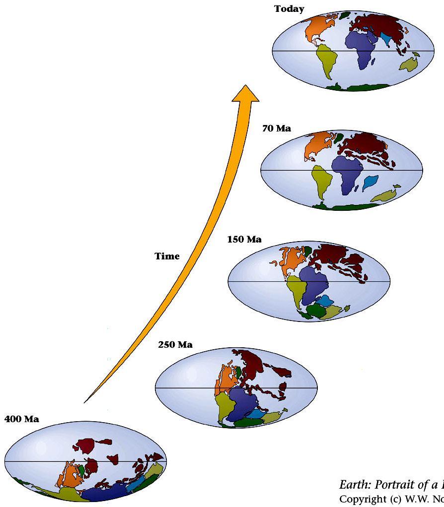 Plates and Continents Over Geologic Time The evidence for plate tectonics is