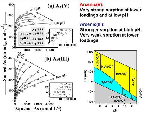 As ph increases, adsorption decreases Iron-oxide surfaces also adsorb arsenite, and both arsenate and arsenite adsorb to aluminum oxides and clay-mineral surfaces.