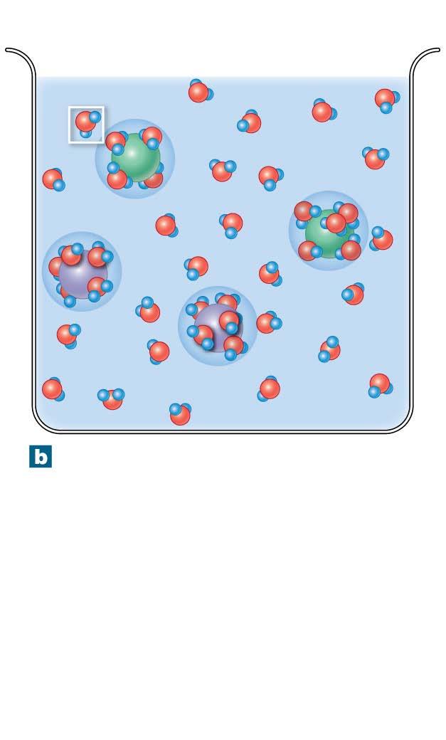 Figure 2-9b The Activities of Water Molecules in Aqueous Solutions Cl Hydration spheres Na + Sodium chloride in solution.