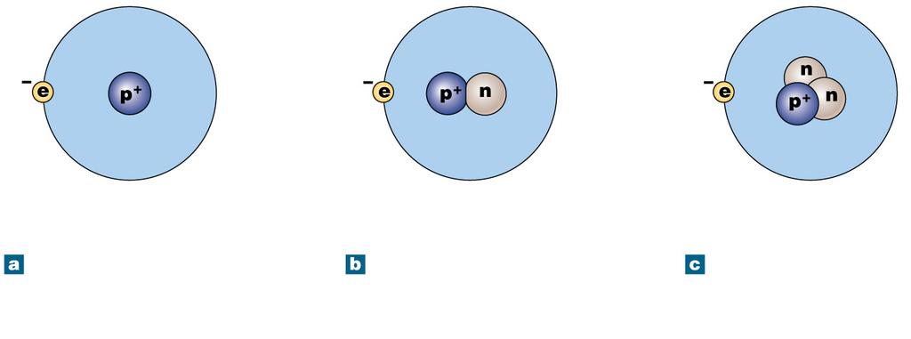 Figure 2-1 The Structure of Hydrogen Atoms Electron shell Hydrogen-1 mass number: 1 A typical hydrogen nucleus contains a proton and no neutrons.
