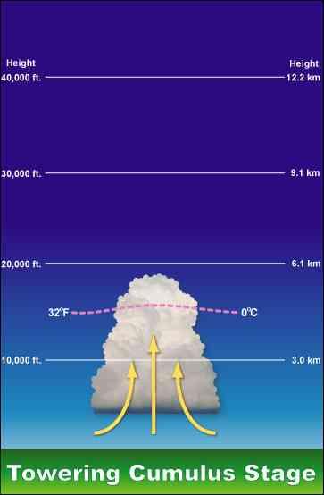 Not all cumulus columns reach the mature stage due to a lack of instability or