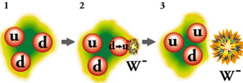 the weak force At the quark level, a down quark in the neutron decays into an up quark, by emitting a W boson. A Brief, First, Consolidation We ve enumerated two fundamental forces.