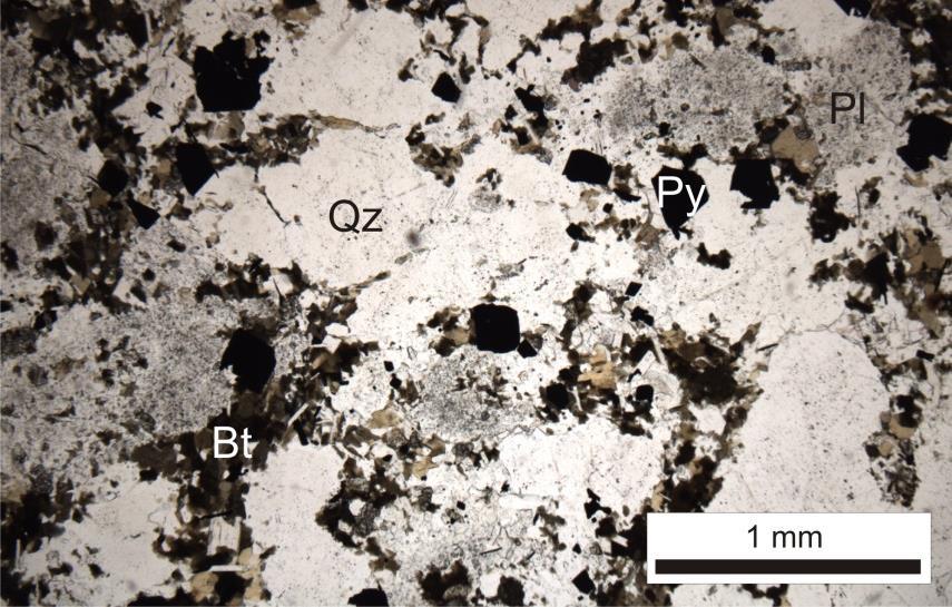 Hydrothermal biotite breccia is centered on