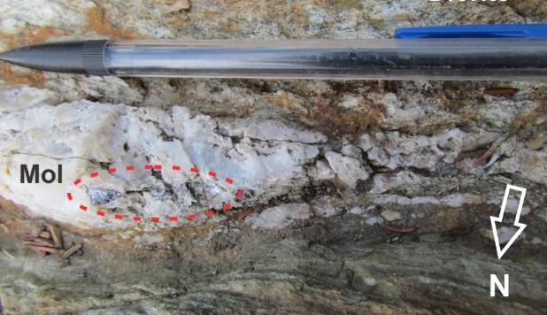 7. Geochronology- Molybdenite E-W sheeted vein E-W sheeted veins